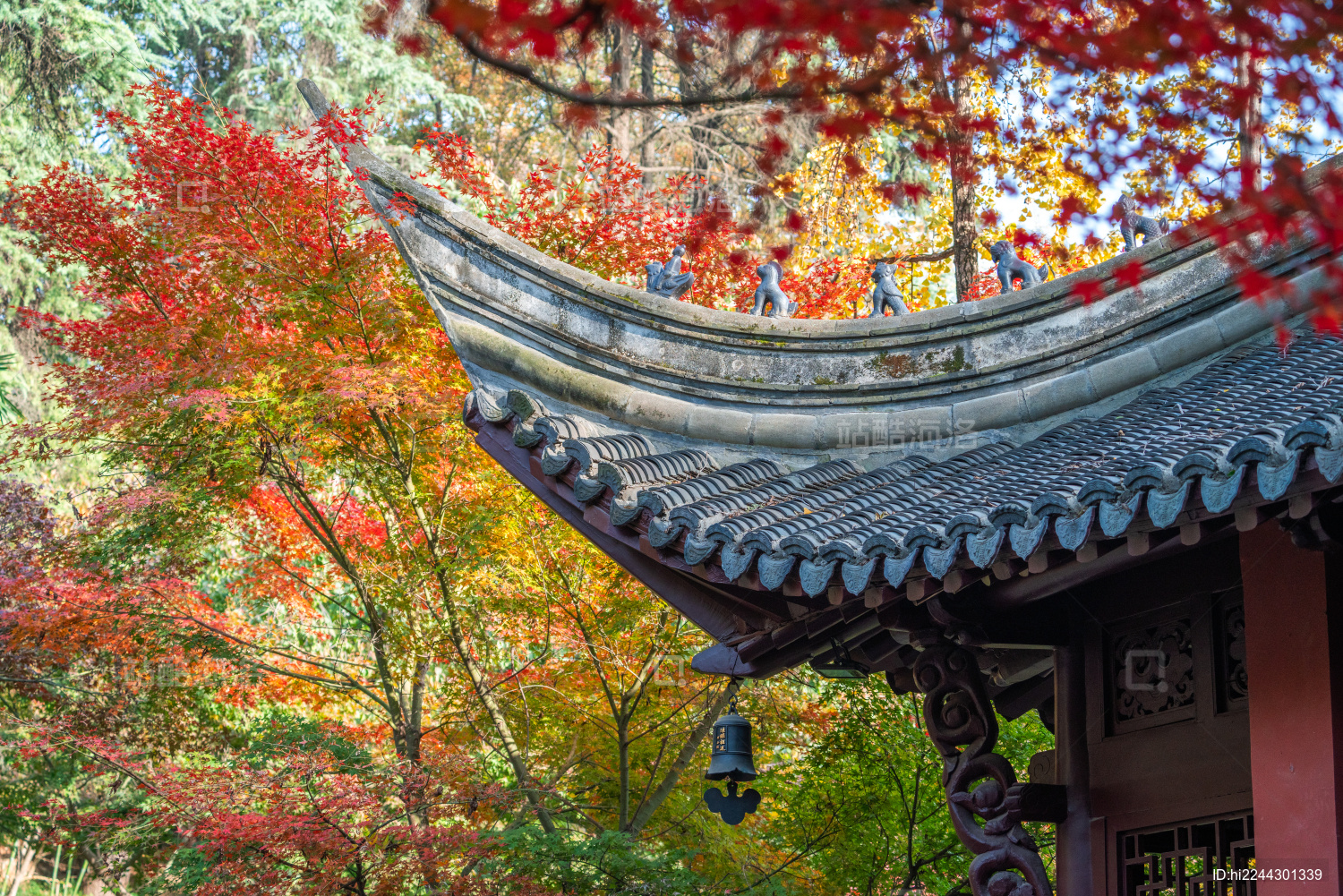 11月秋天江苏南京清凉山红叶