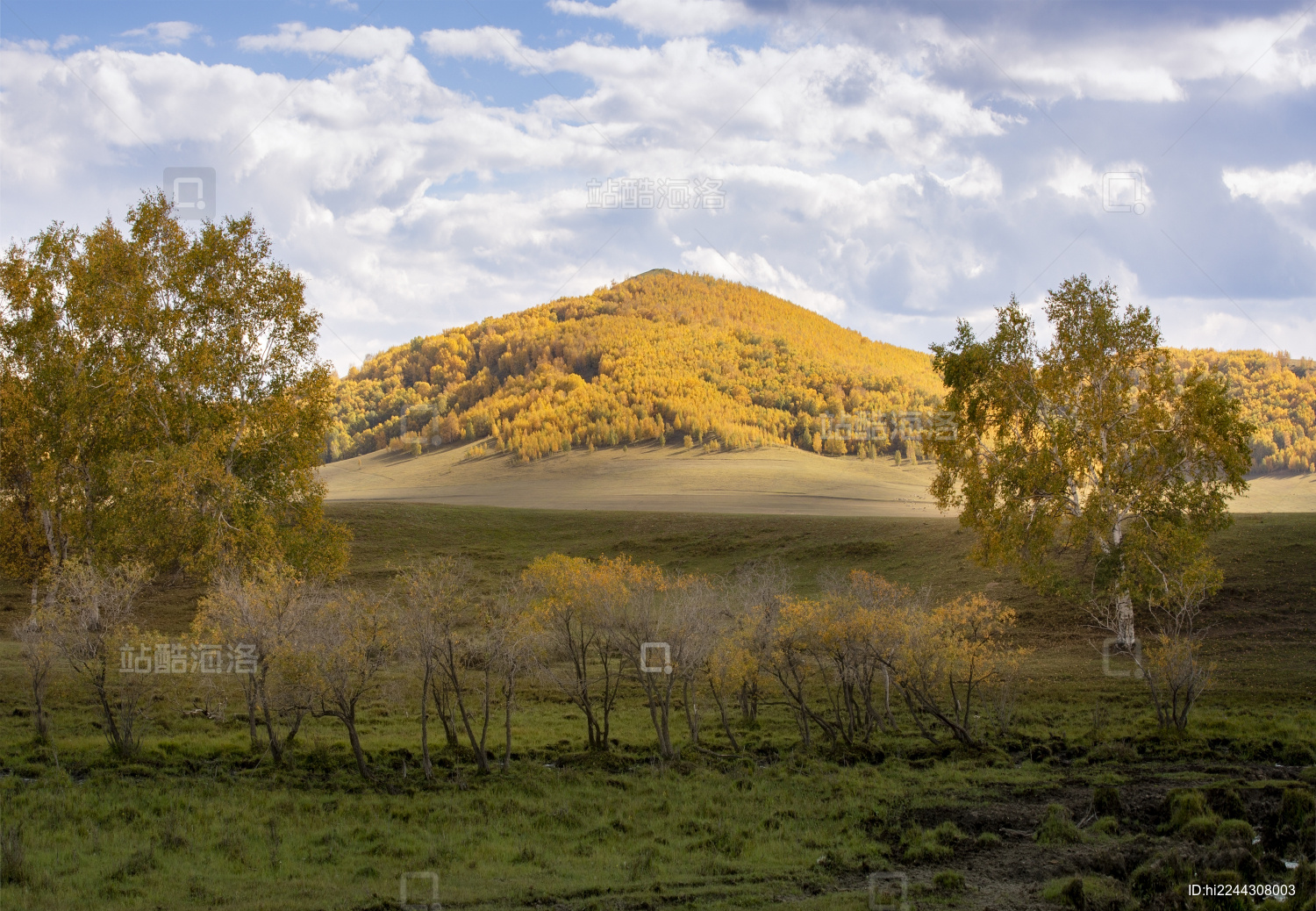 中国内蒙古乌兰布统大草原