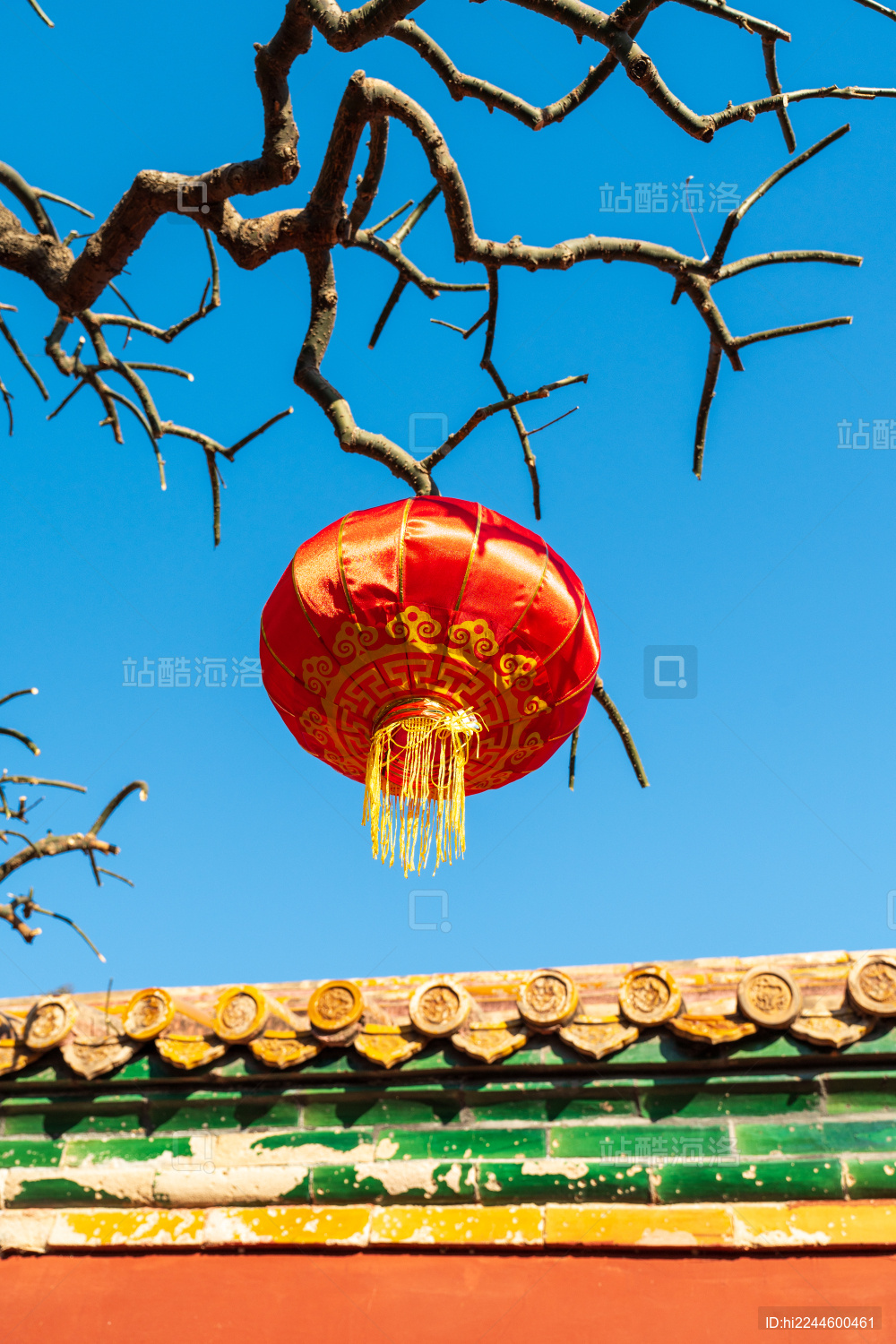 蓝天下挂在树枝上的红灯笼