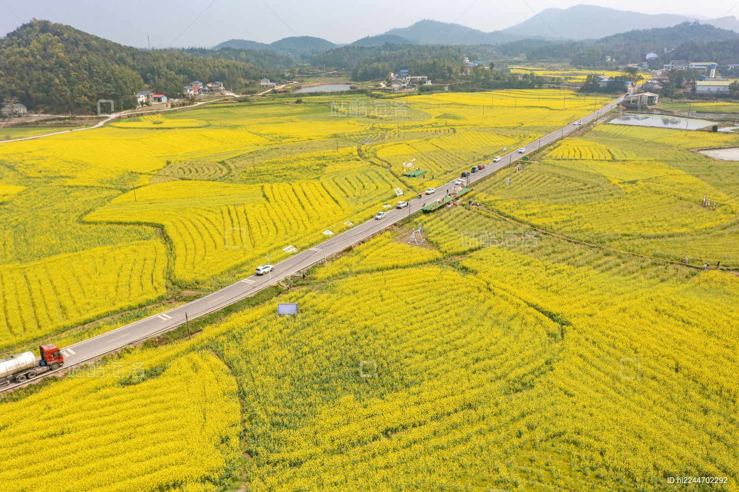 航拍湖南长沙宁乡乡间的油菜花田