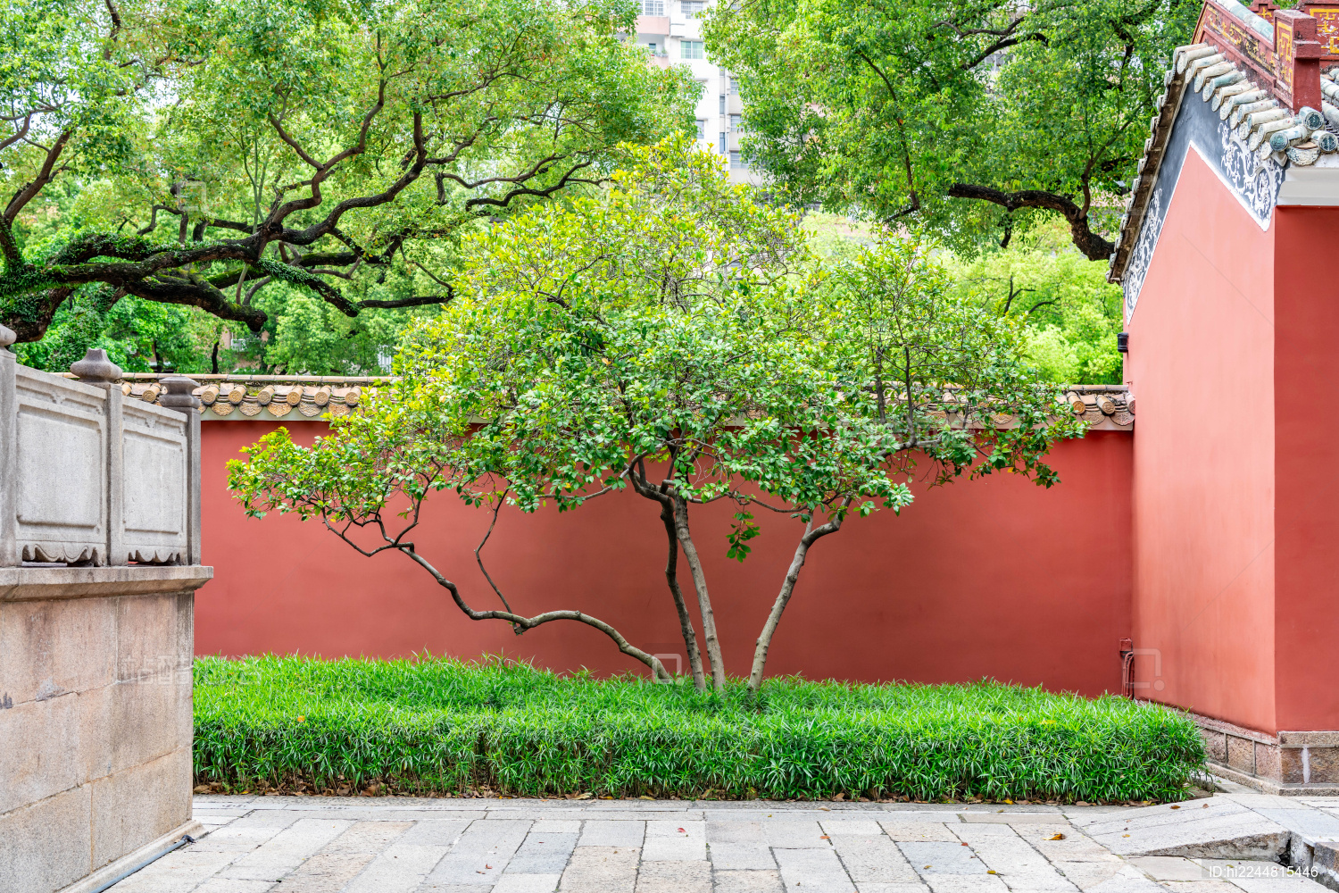 春天绿树红墙中式园林景观