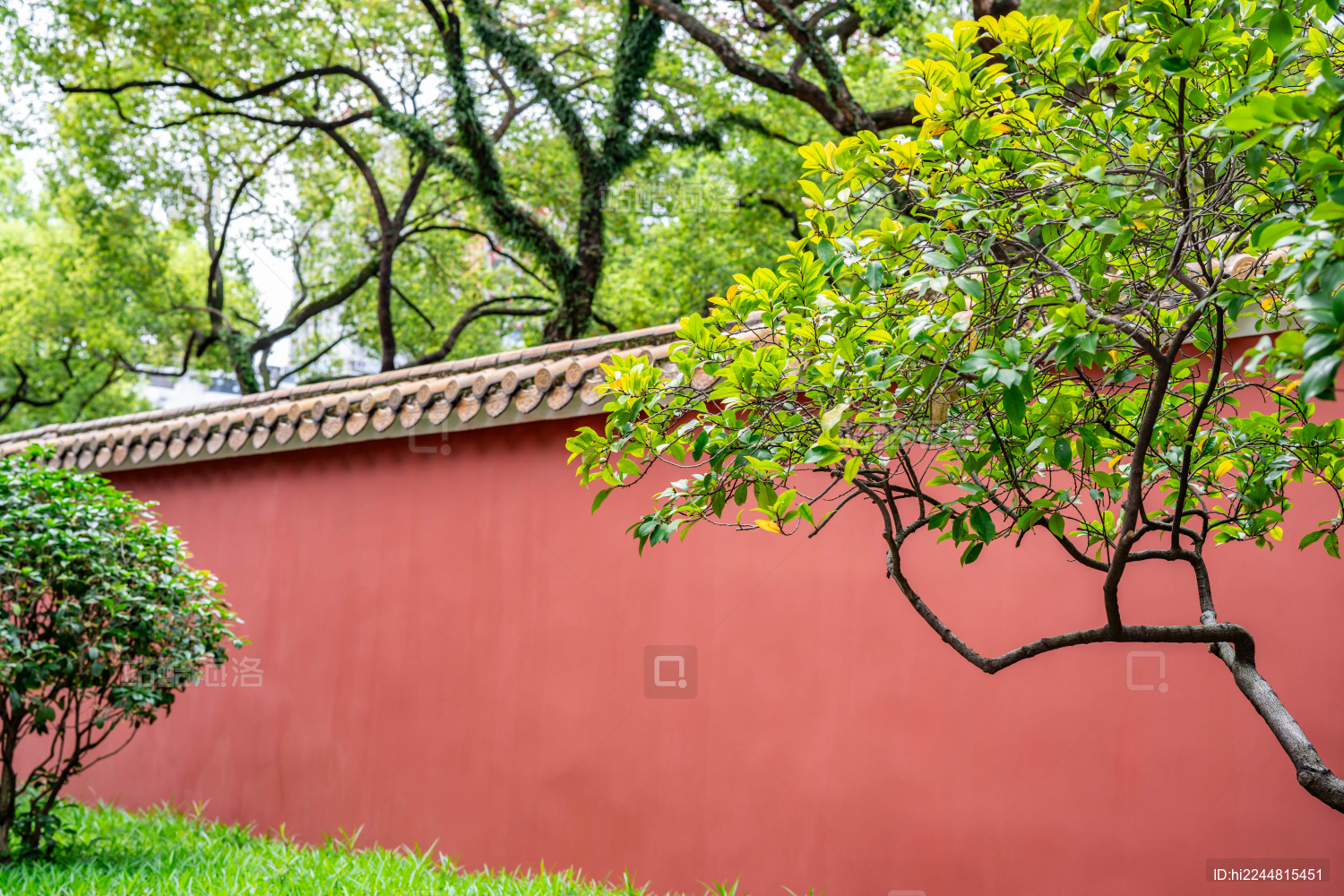 春天绿树红墙中式园林景观