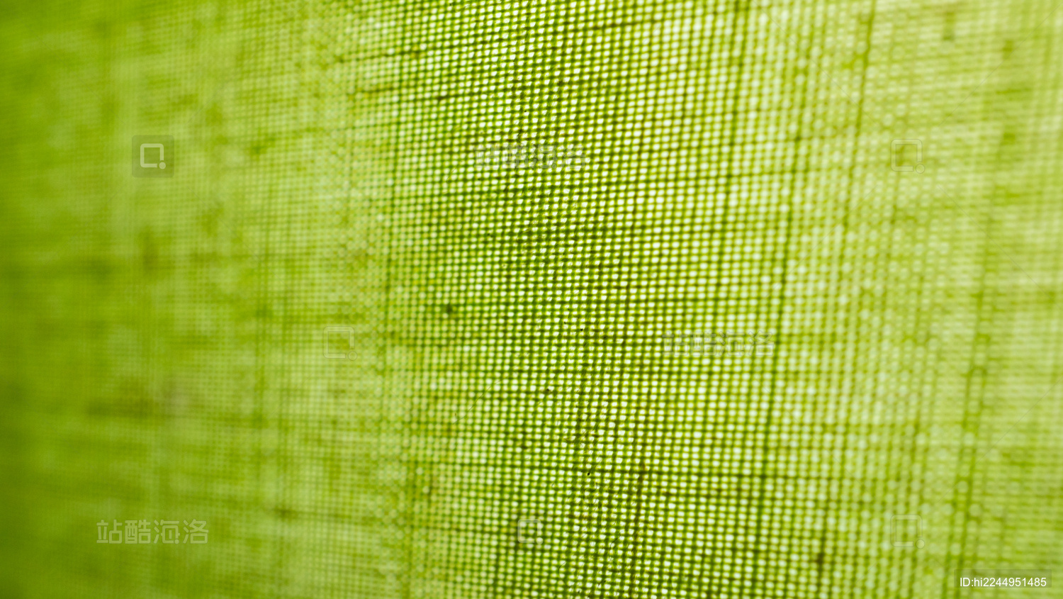 绿色面料布纹材质
