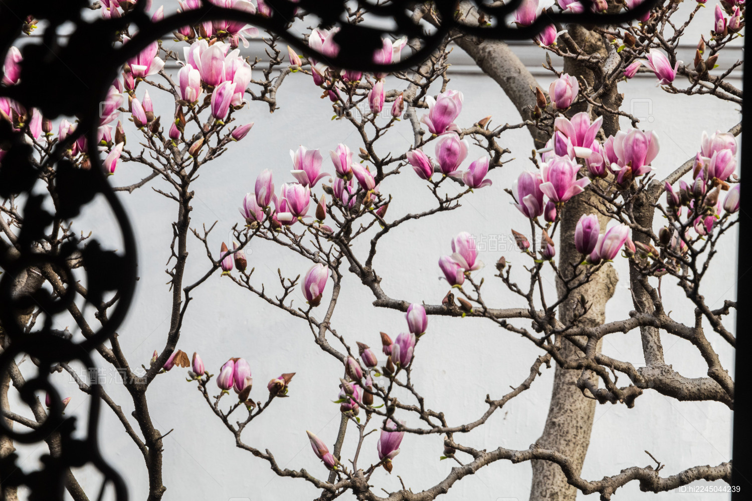 中国江苏苏州网师园