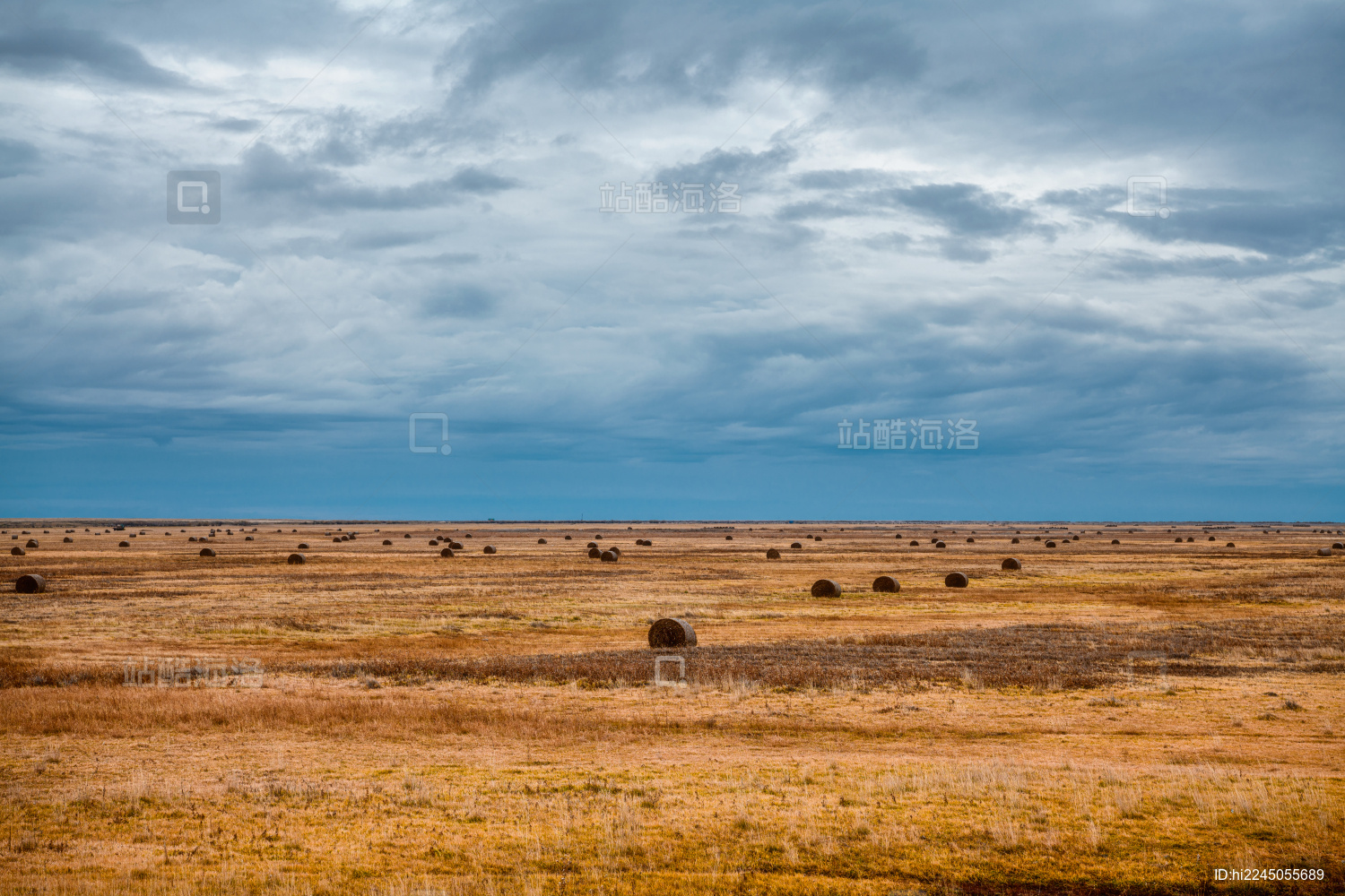 中国内蒙古呼伦贝尔大草原秋色