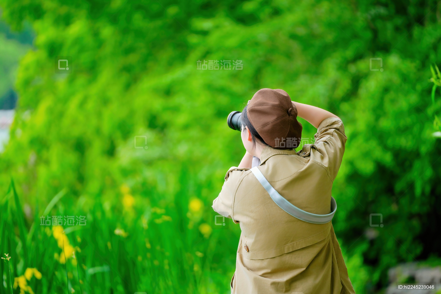 自然摄影师户外捕捉春天的美丽