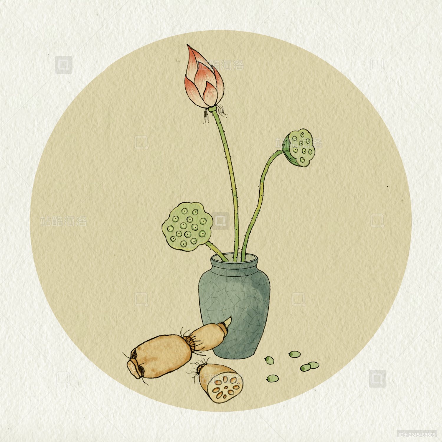 夏天莲蓬莲藕荷花国风水墨插画