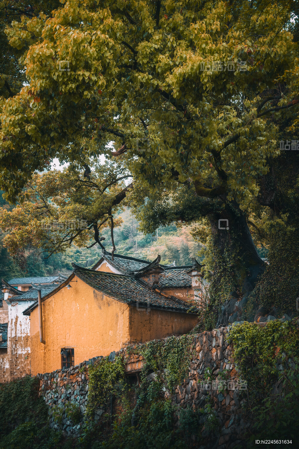 浙江丽水松阳自然建筑风光
