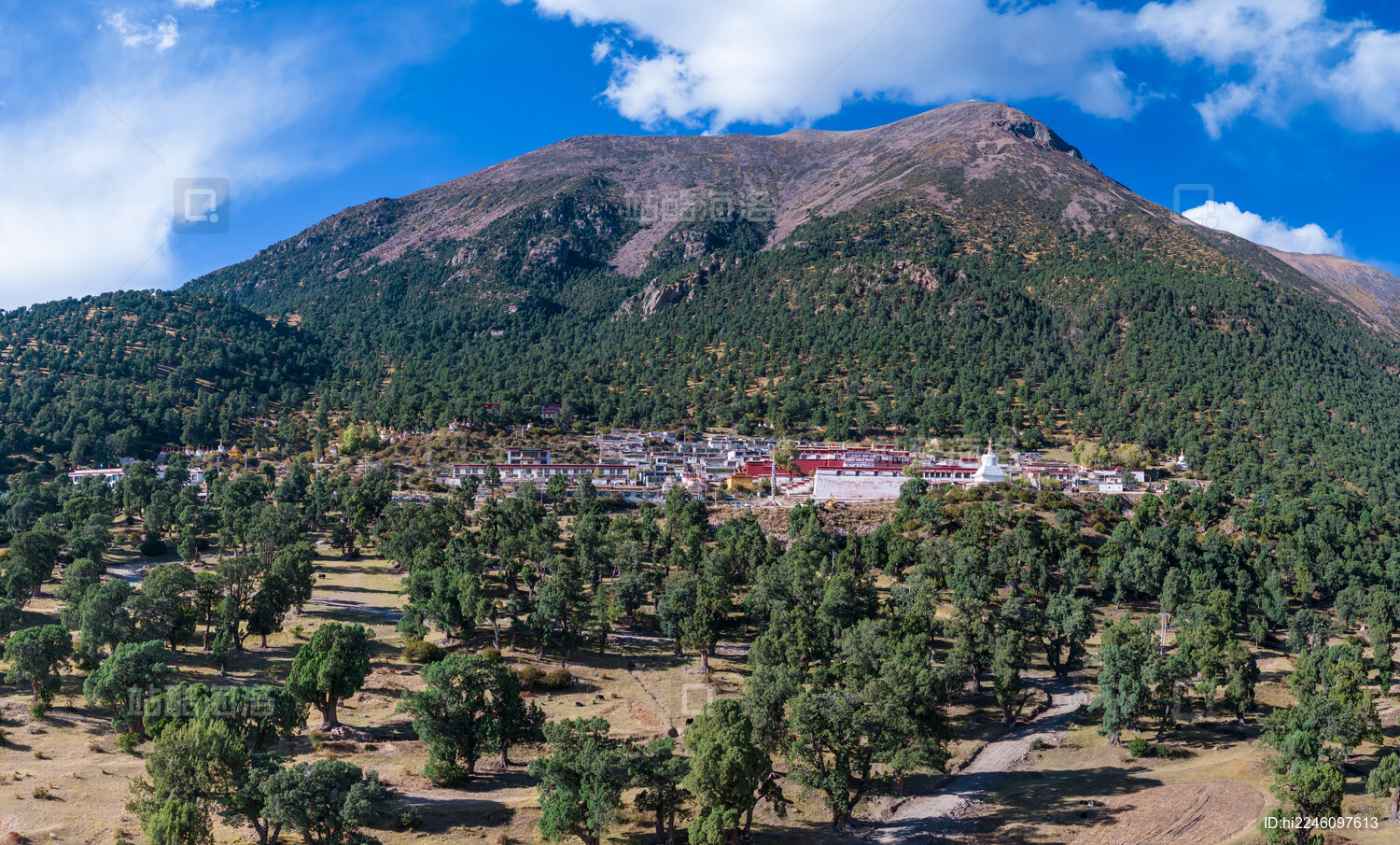 中国西藏拉萨林周古柏林中的热振寺