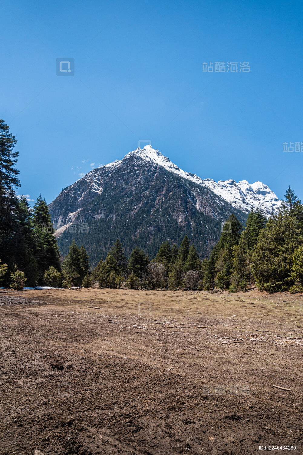 中国西藏林芝巍峨雪山与原始森林特写