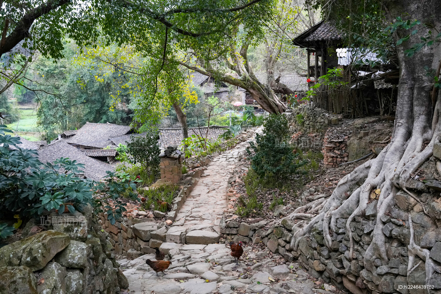 贵州兴义南龙布依古寨风光