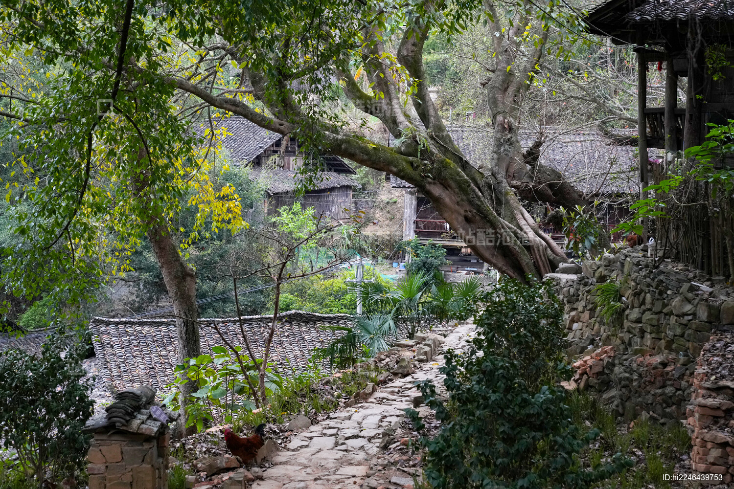 贵州兴义南龙布依古寨风光