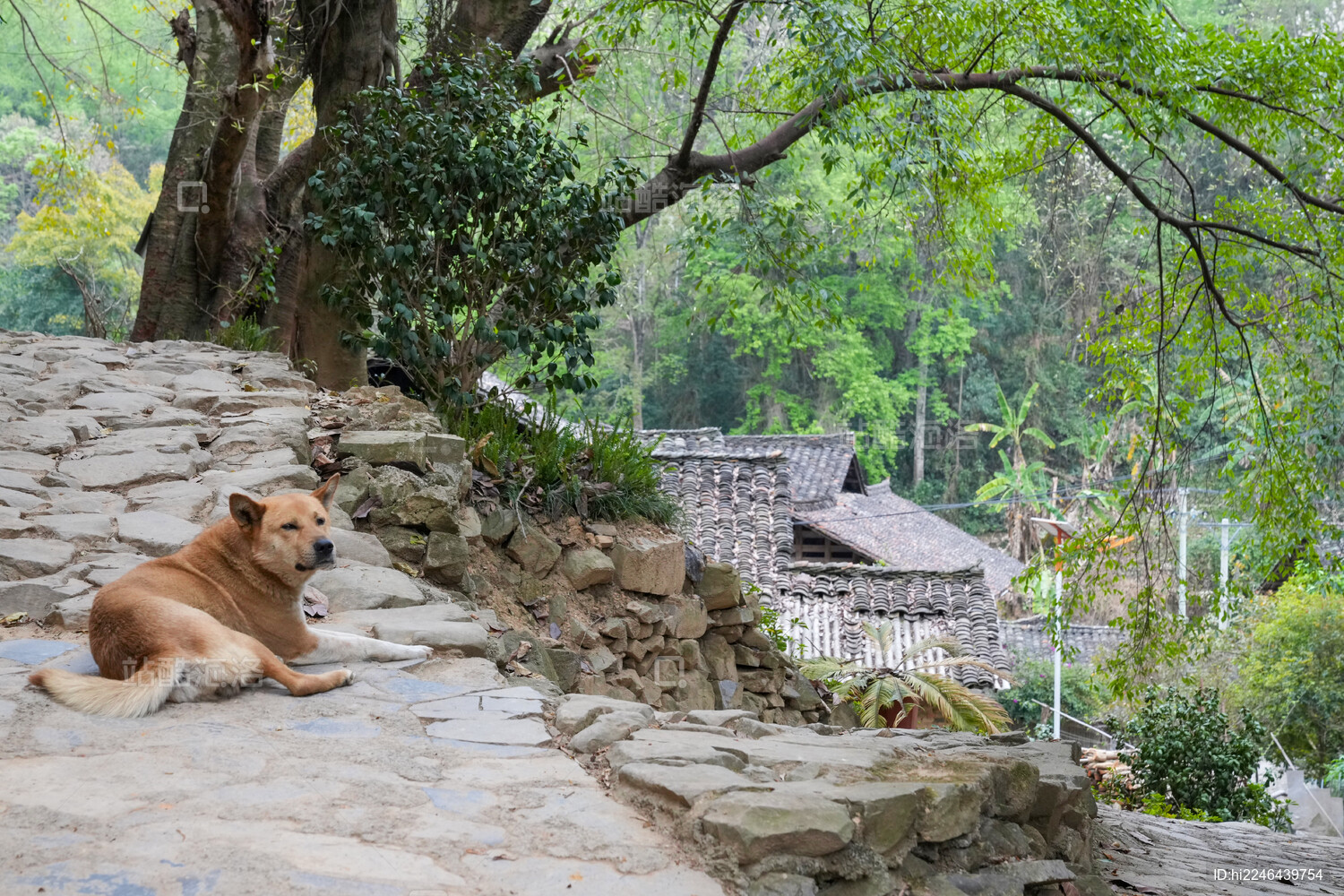 贵州兴义南龙布依古寨风光