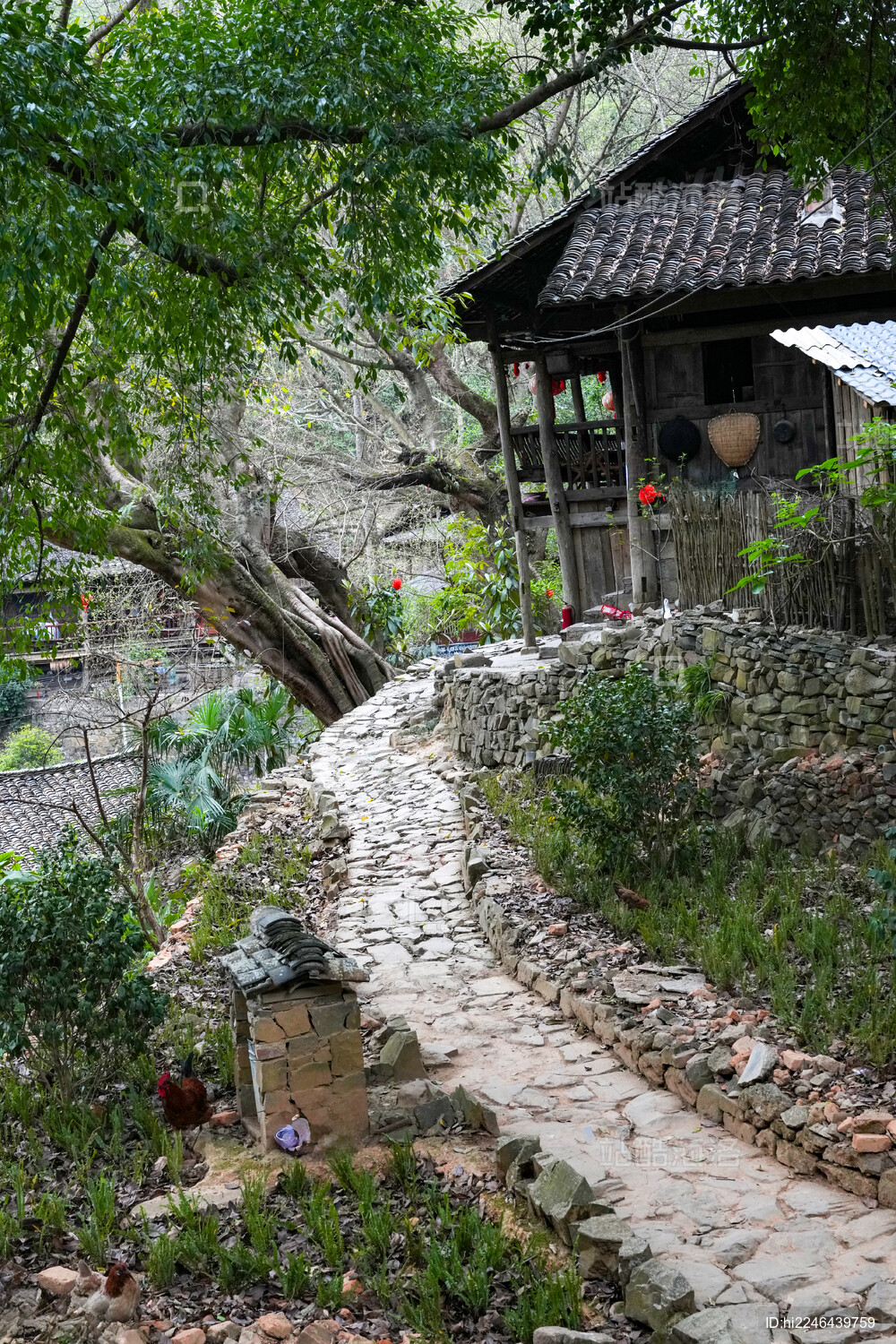 贵州兴义南龙布依古寨风光