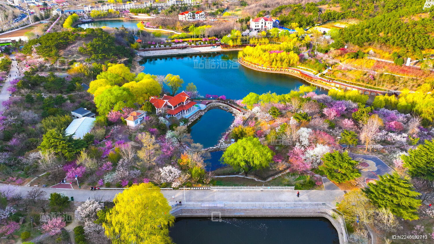 青岛李沧区十梅庵梅花