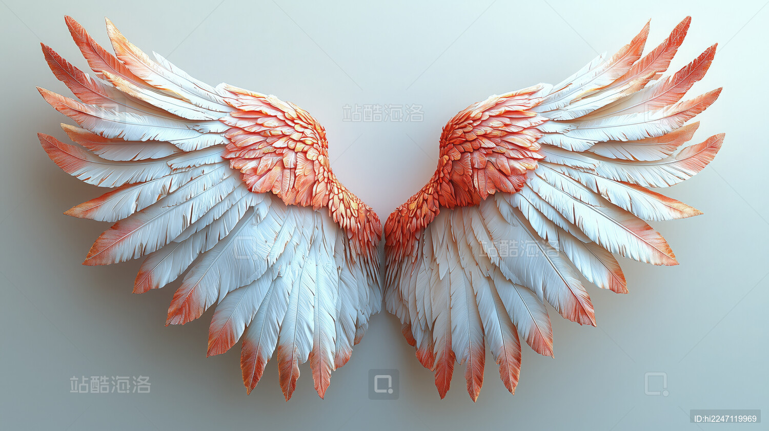 翅膀插画