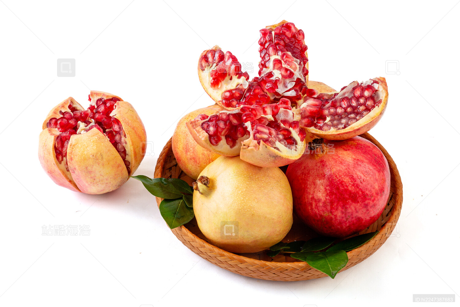 突尼斯软籽石榴