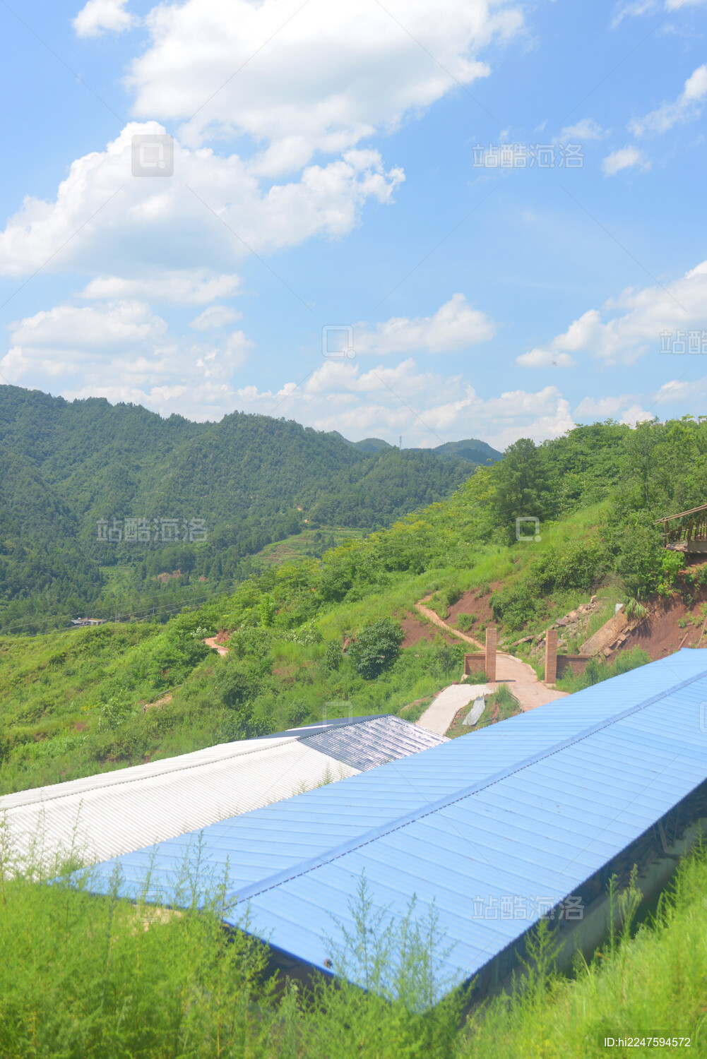 在农村山区做什么养殖更适合(山区适合养殖什么成本低利润高)