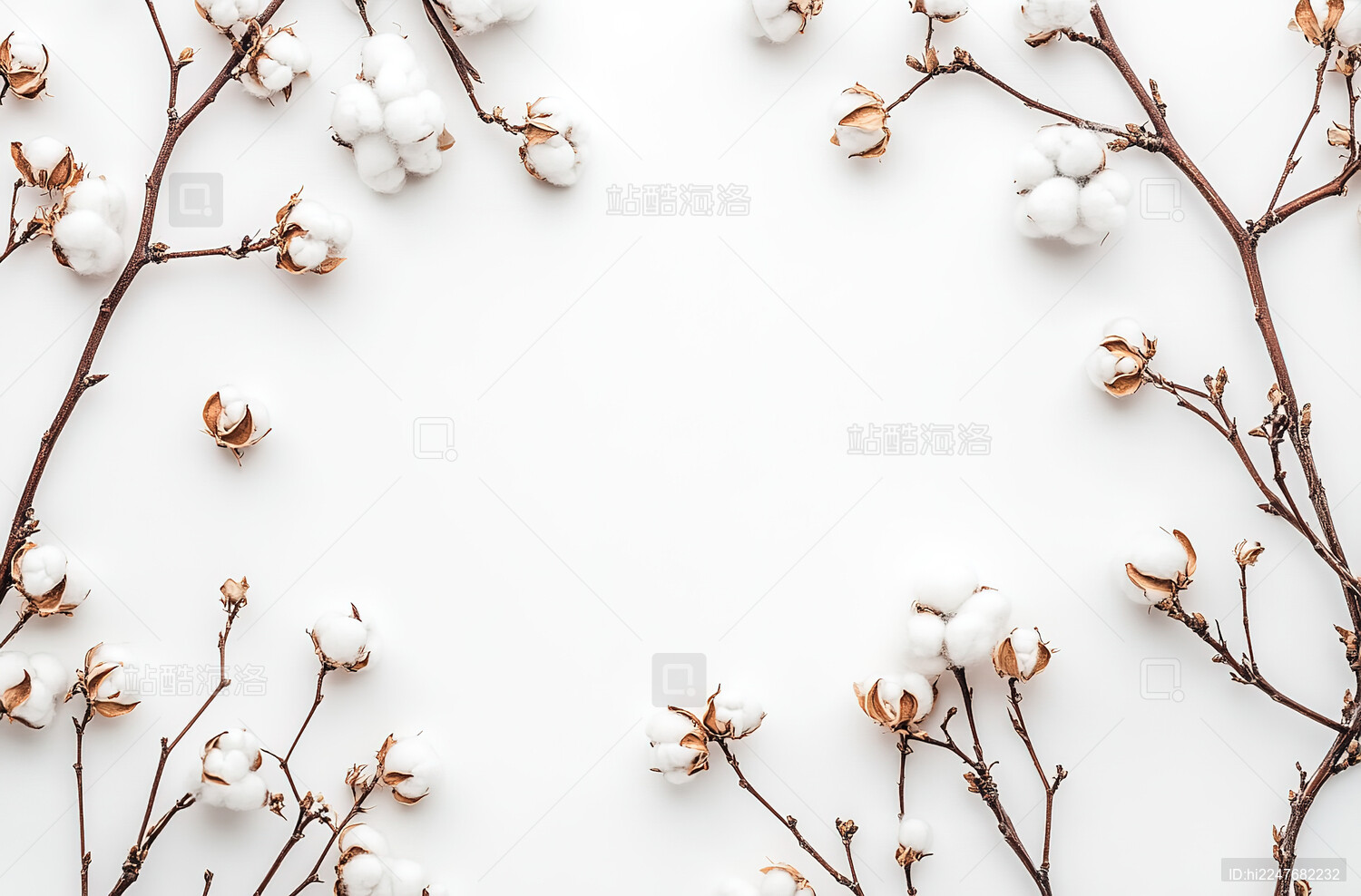 白色背景下的棉花