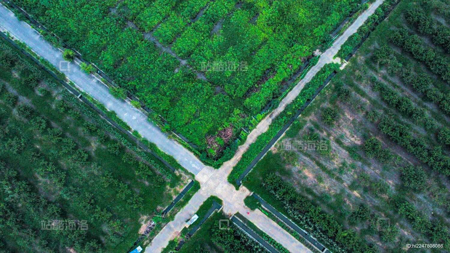 上海市松江区-航拍田园景观