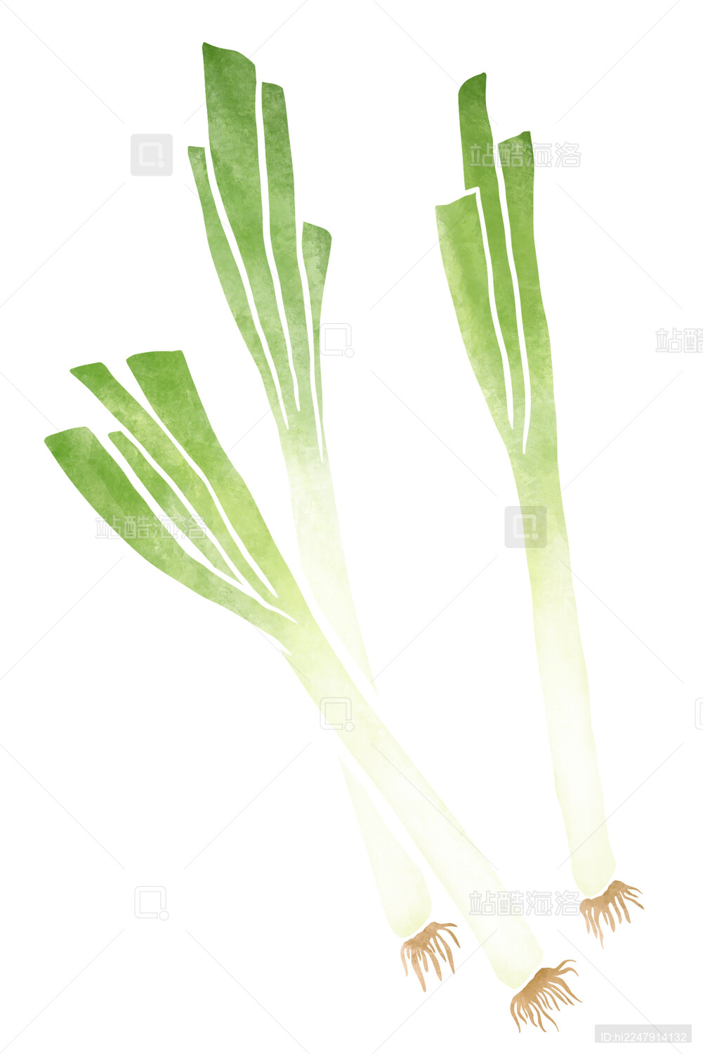 扁平设计水彩肌理大葱