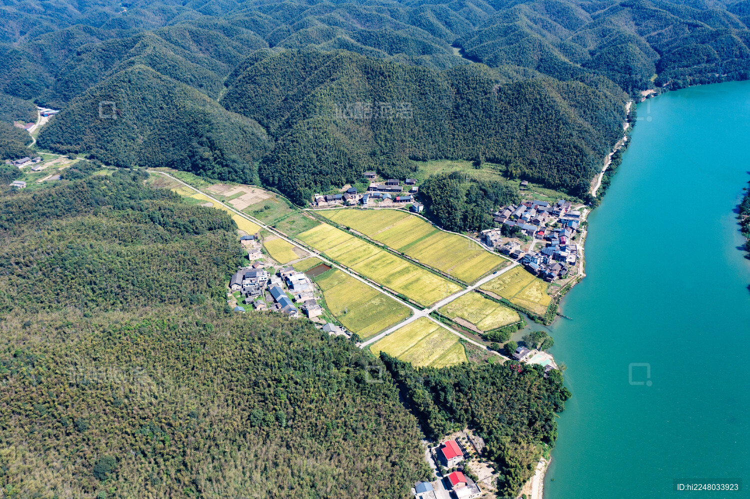 航拍湖南衡阳耒阳市蔡伦竹海风景