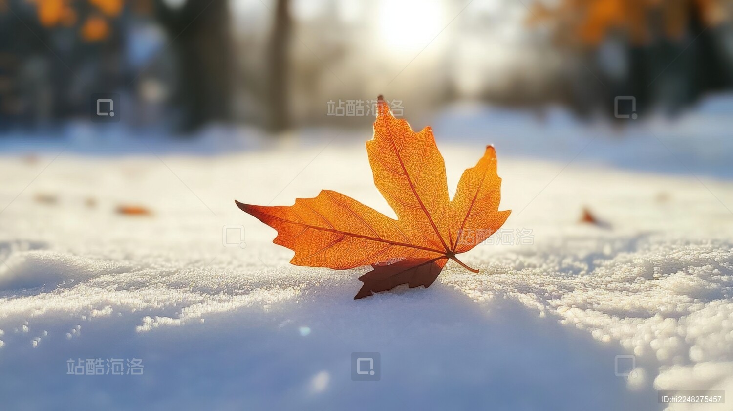 立冬冬天自然风景插画