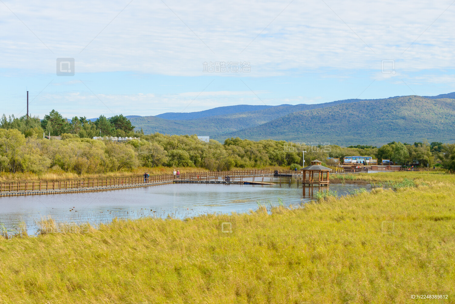 黑龙江省抚远市黑瞎子岛湿地公园景色