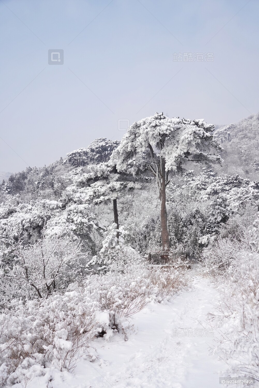 北京妙峰山、阳台山冬季雪景