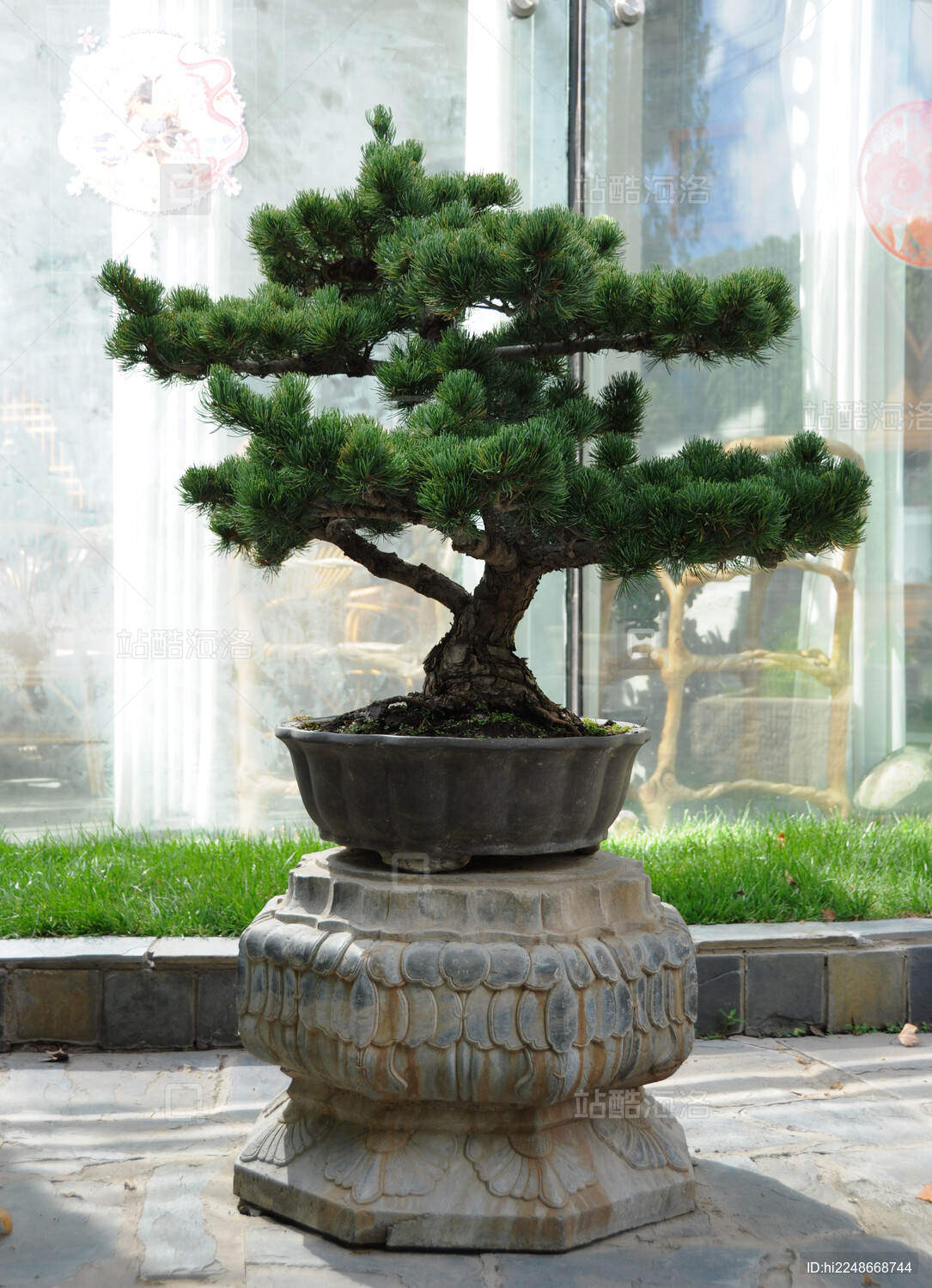 北京观复博物馆中国传统造型盆景