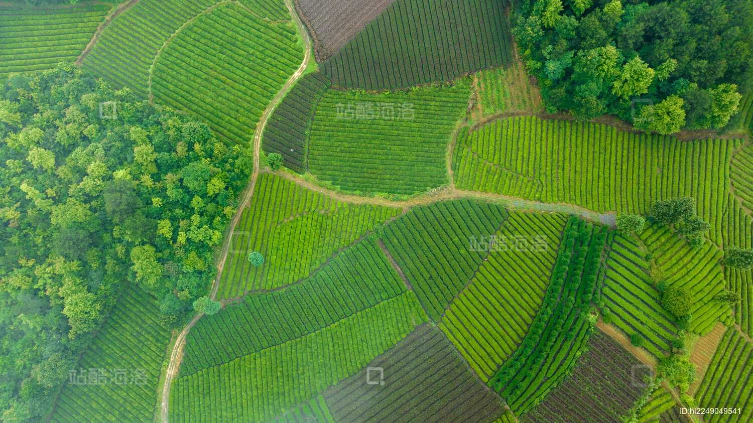 航拍摄影茶园视频教程，技巧大全