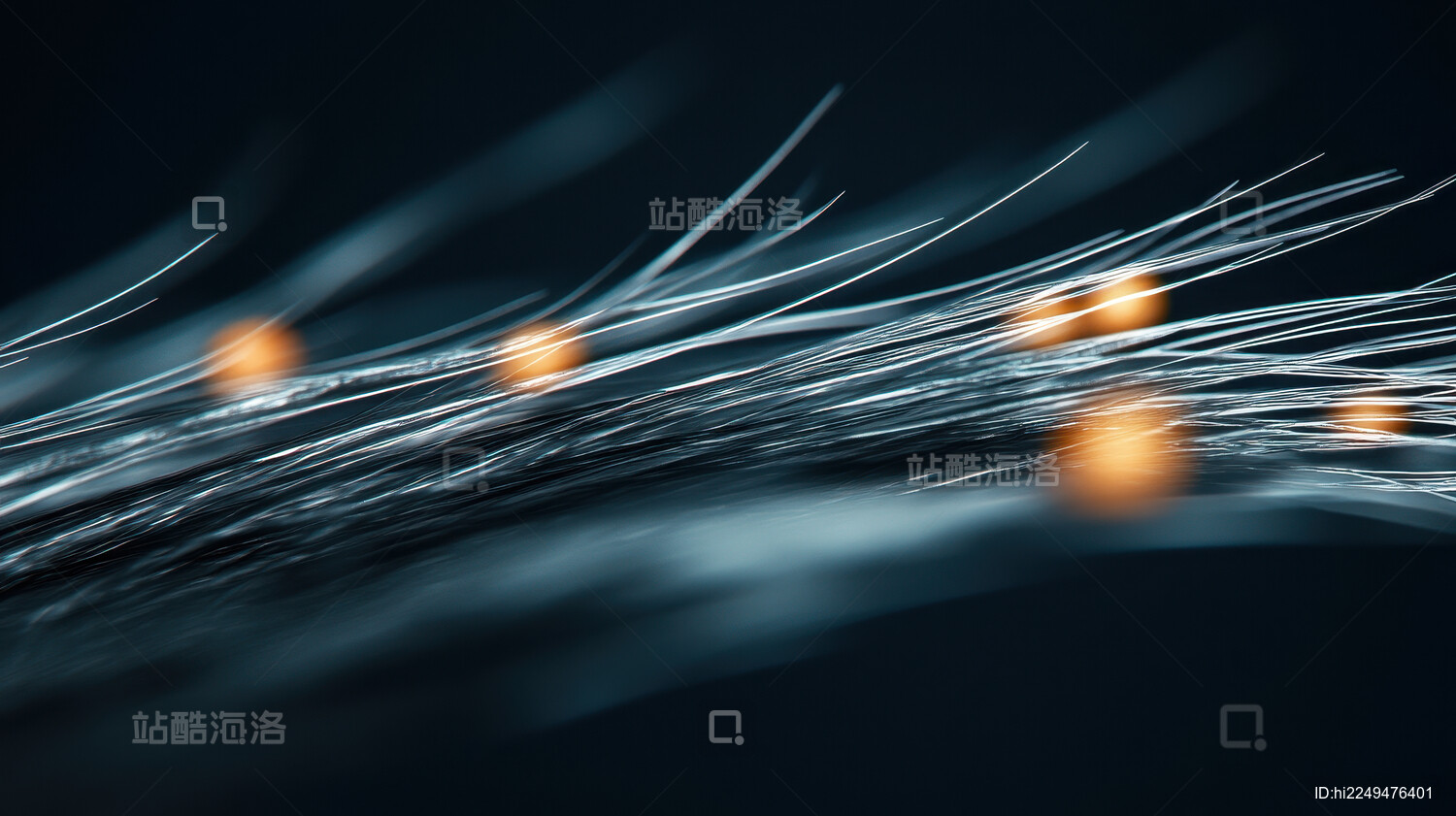 神经元信号传递