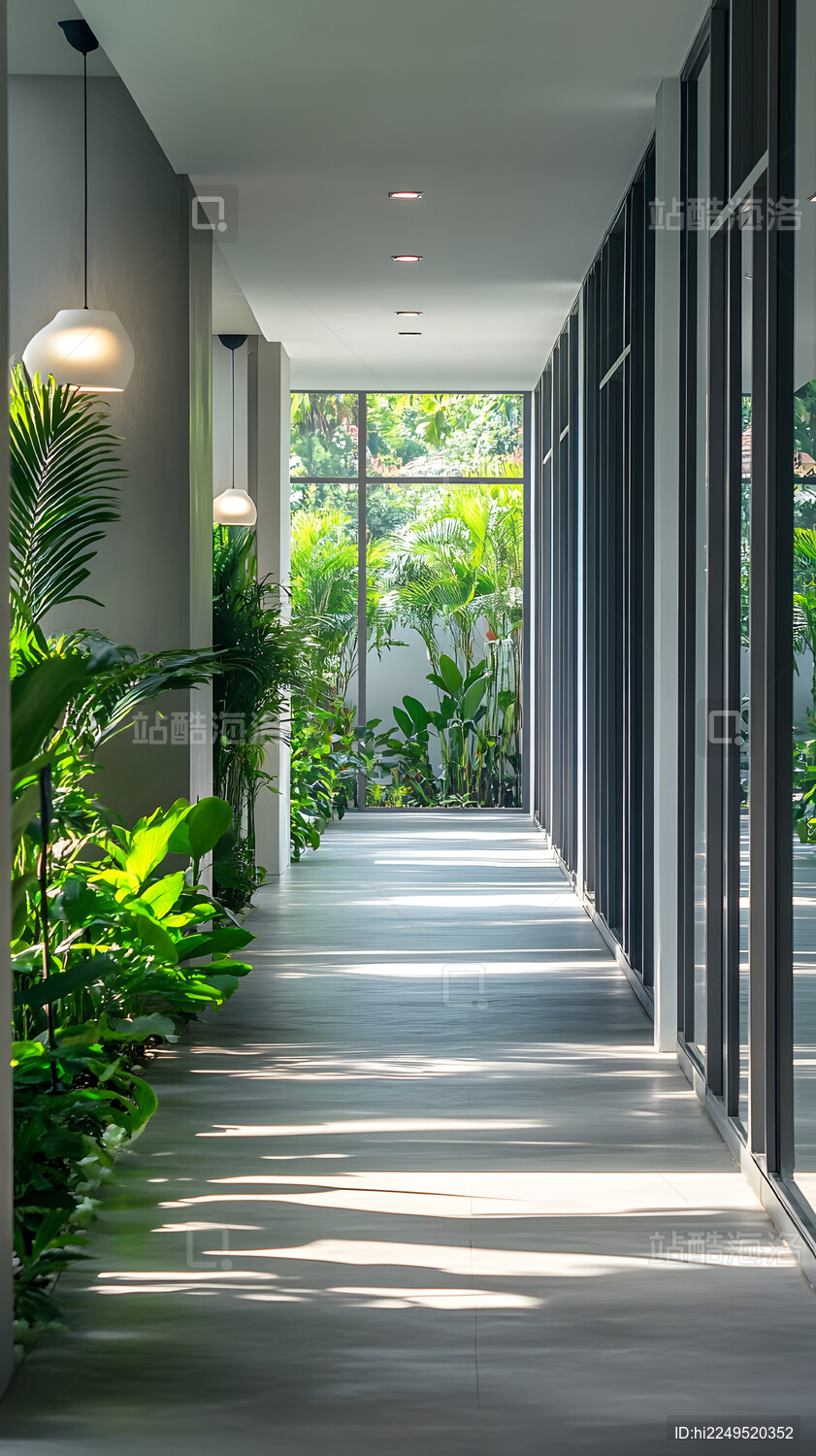 阳光洒落走廊绿植环绕现代建筑