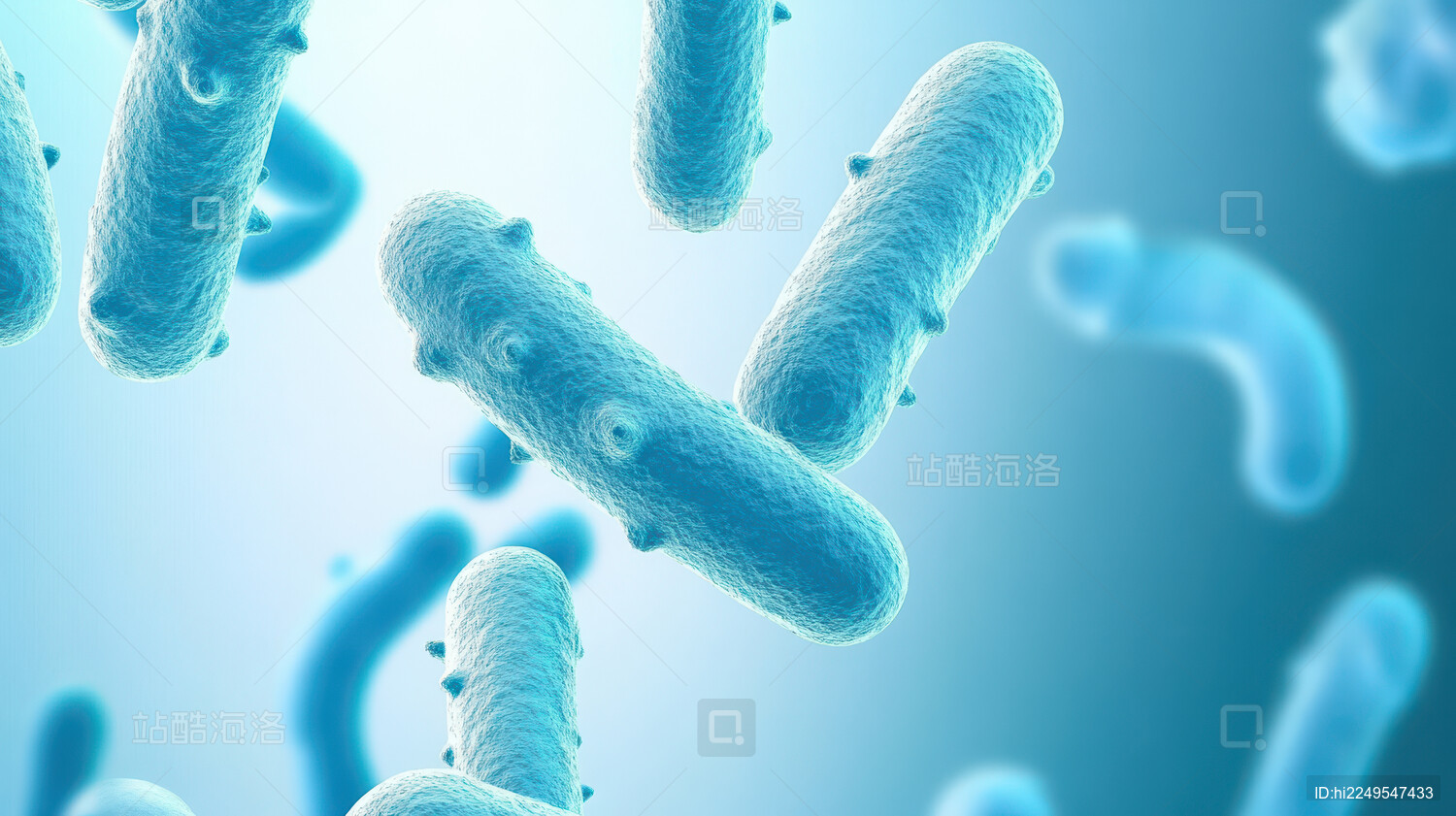 细菌的微观世界