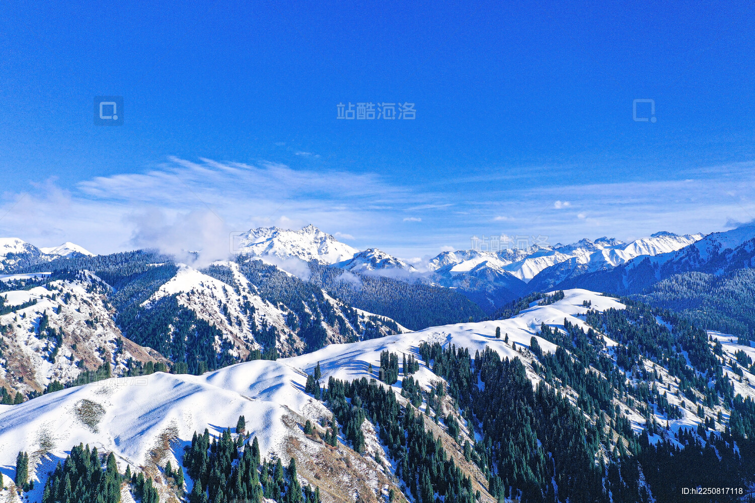 中国新疆原始森林高山植被天山雪山