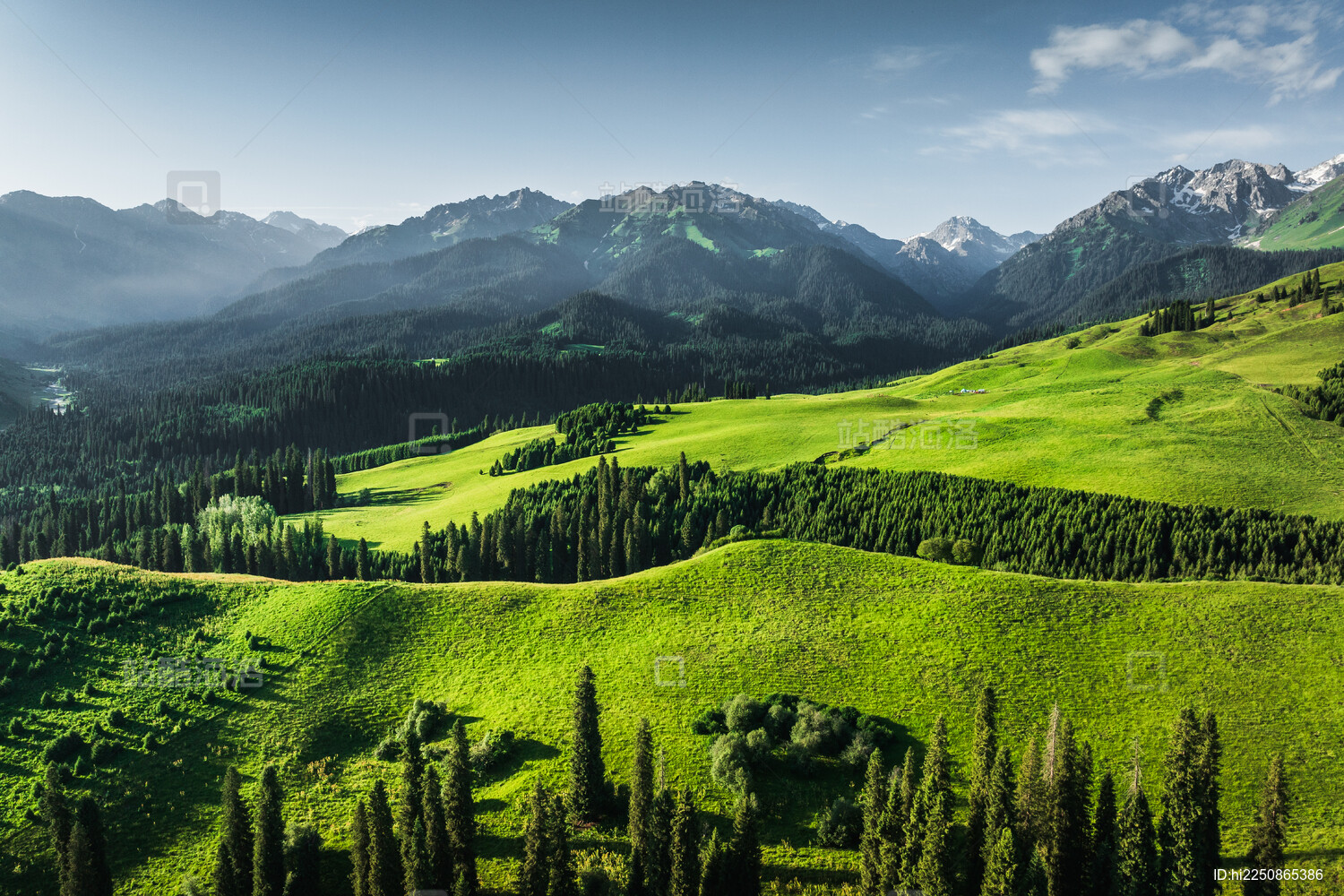 中国新疆伊犁恰西草原森林自然风光航拍