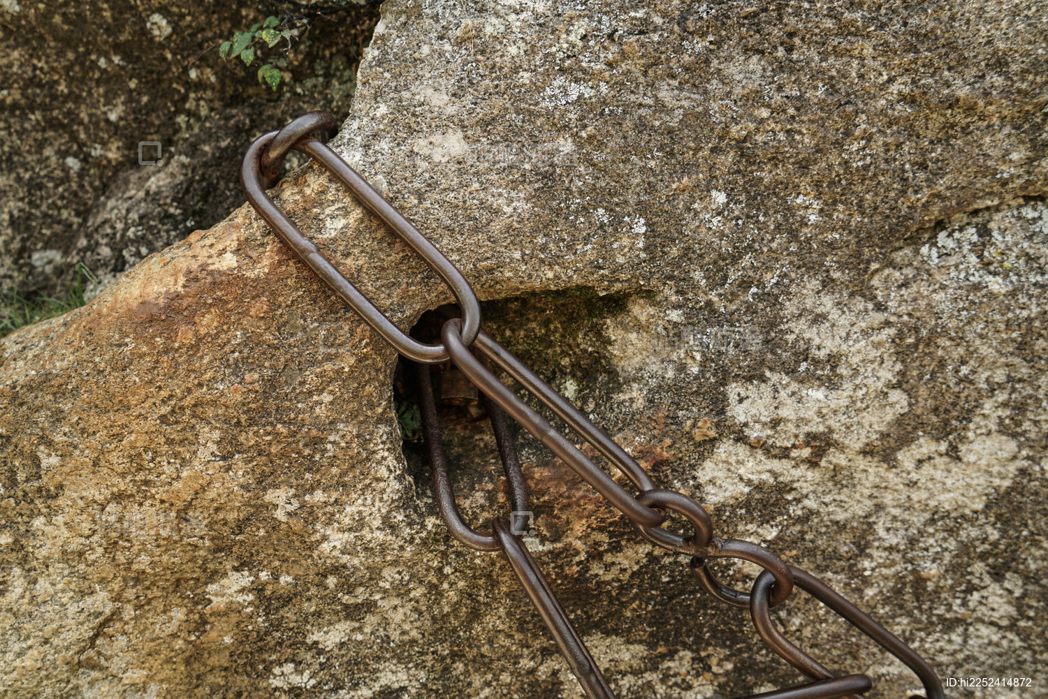 站酷海洛_正版图片_视频_字体_音乐素材交易平台