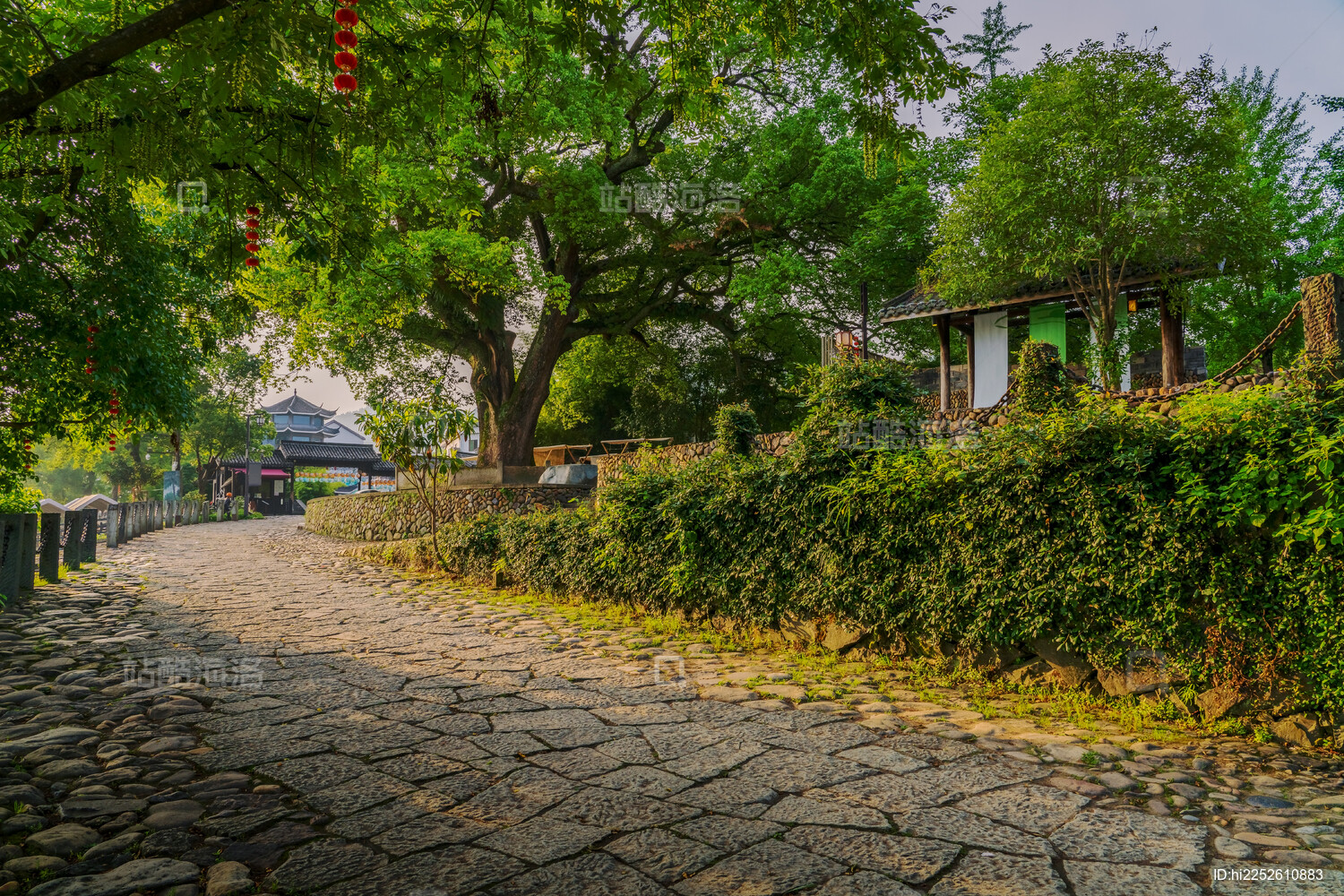 中国浙江丽水古堰画乡的森林小路