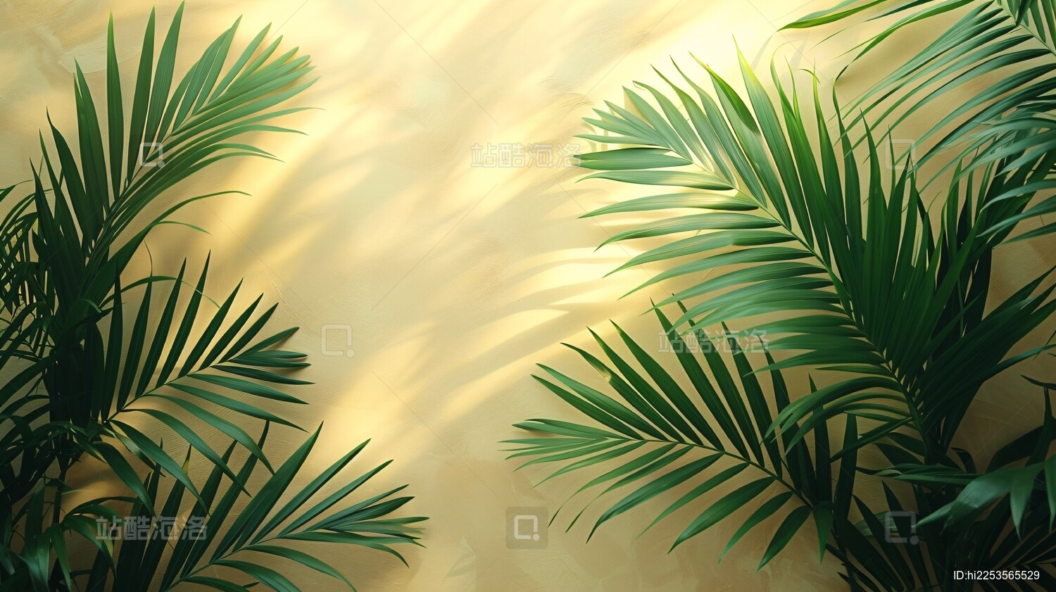 棕榈叶光影背景