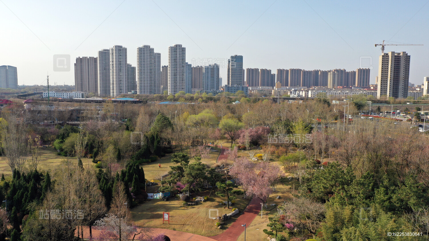 山东日照:植物园姹紫嫣红春意浓