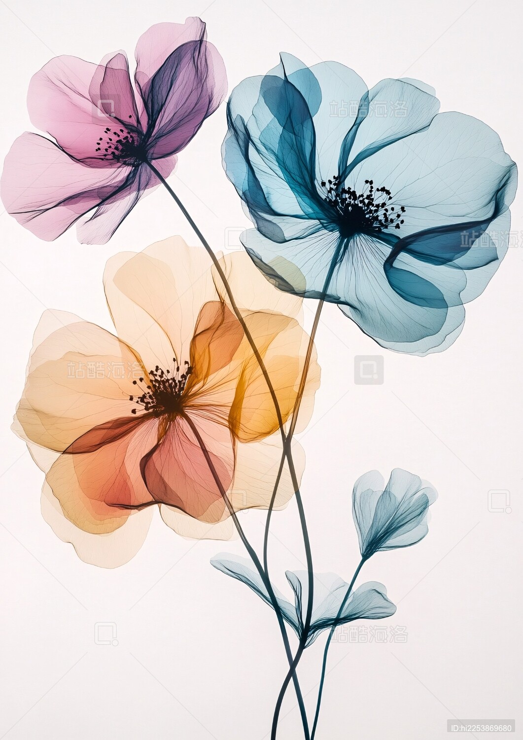 梦幻透明风三色花卉插画
