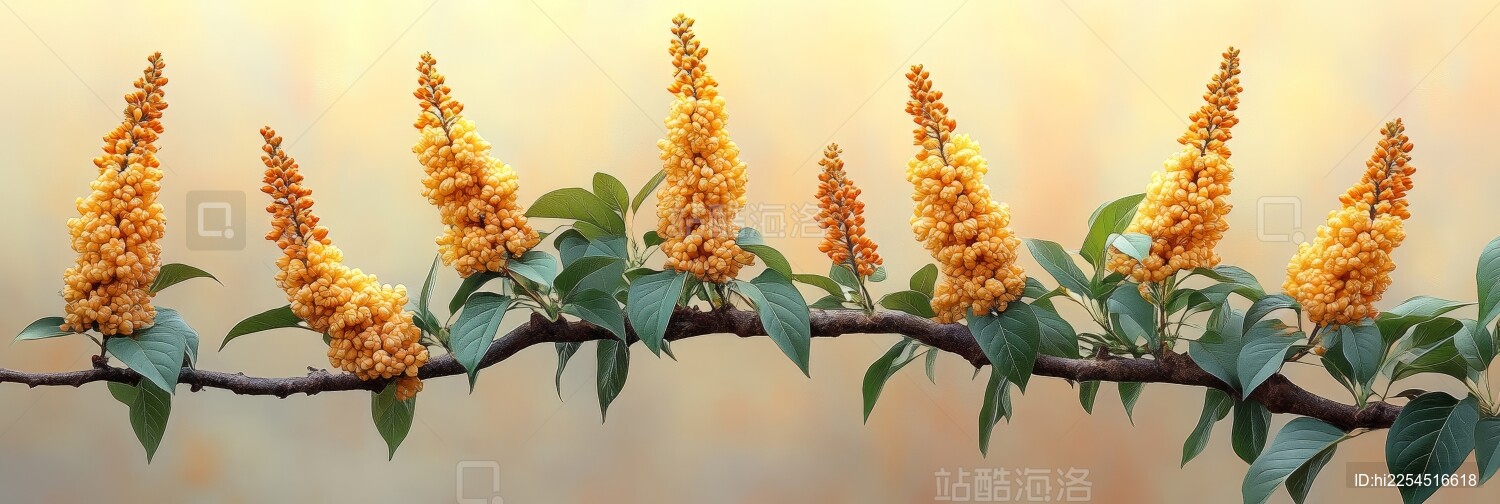 黄花朵于浅色背景绽放