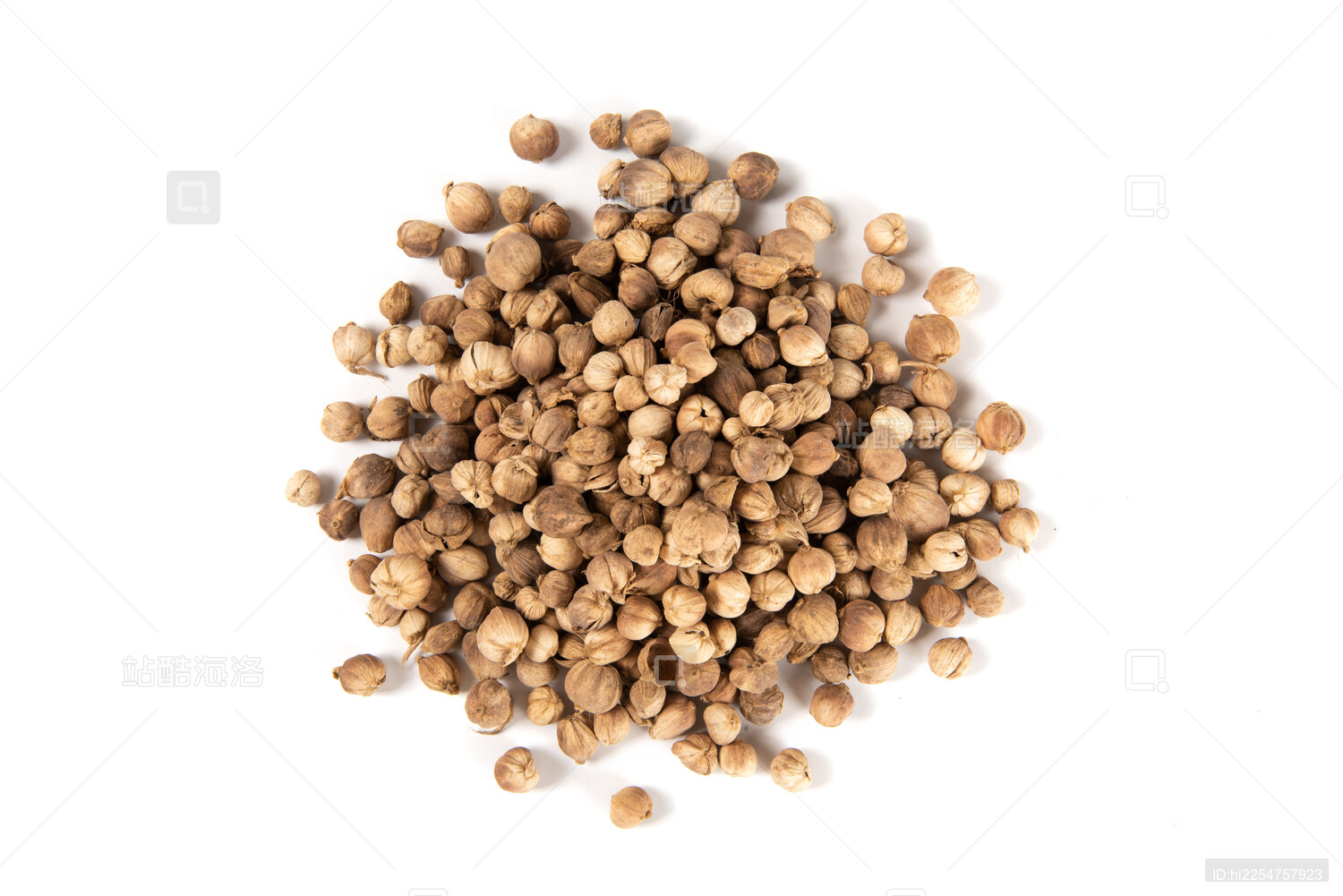 白底上的中药材白豆蔻