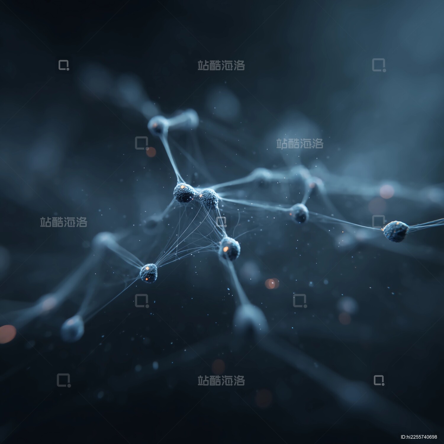 站酷海洛_正版图片_视频_字体_音乐素材交易平台