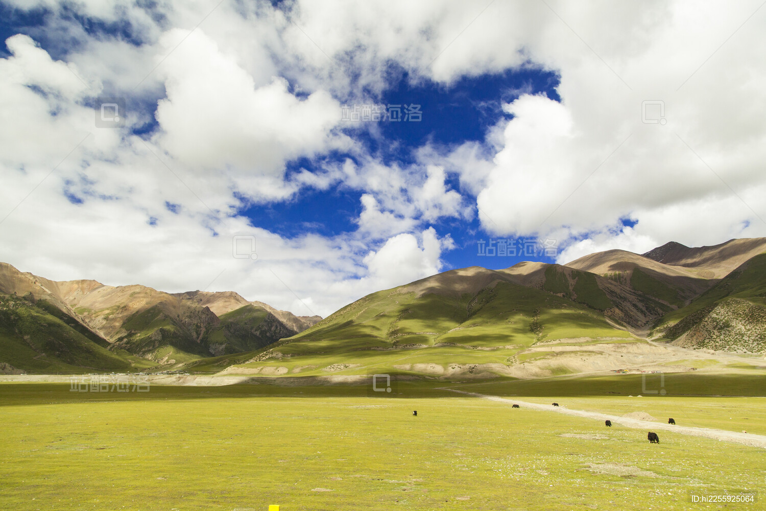 蓝天白云下辽阔雄壮的青藏高原牧场