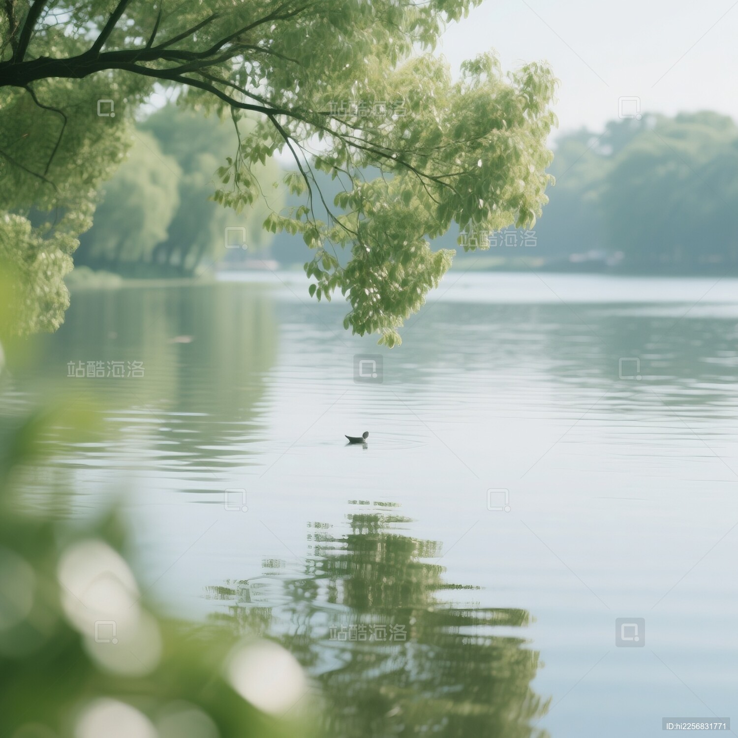 静谧时光的记录精美的作品