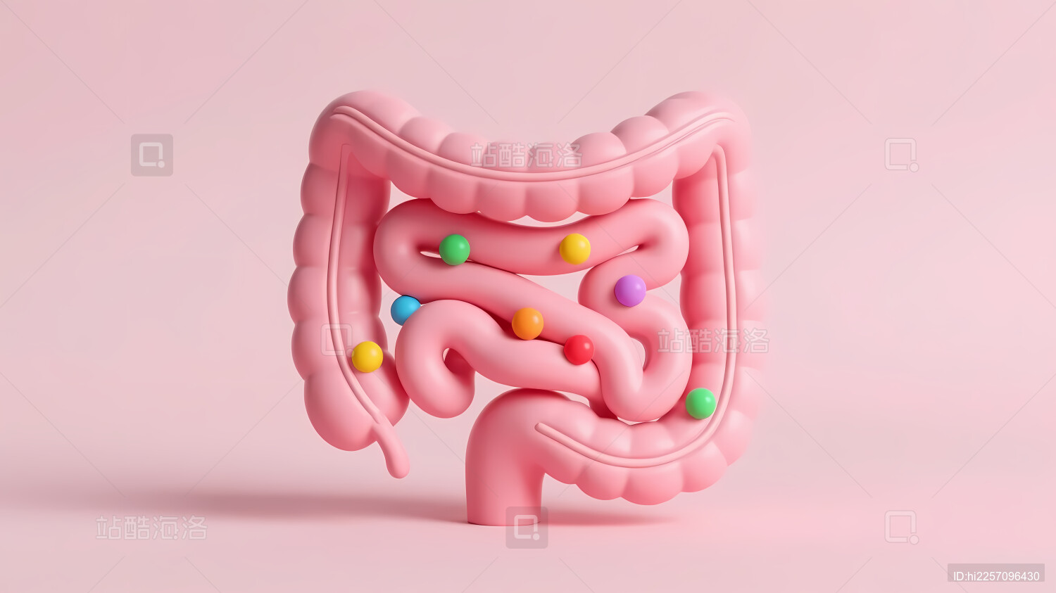 粉色肠状物彩色点