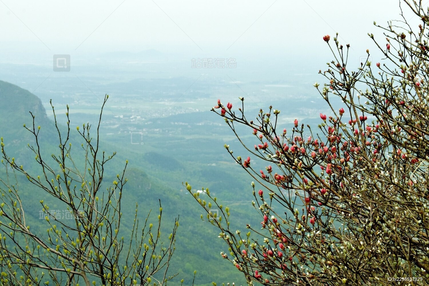 安徽铜陵:三公山上春光好