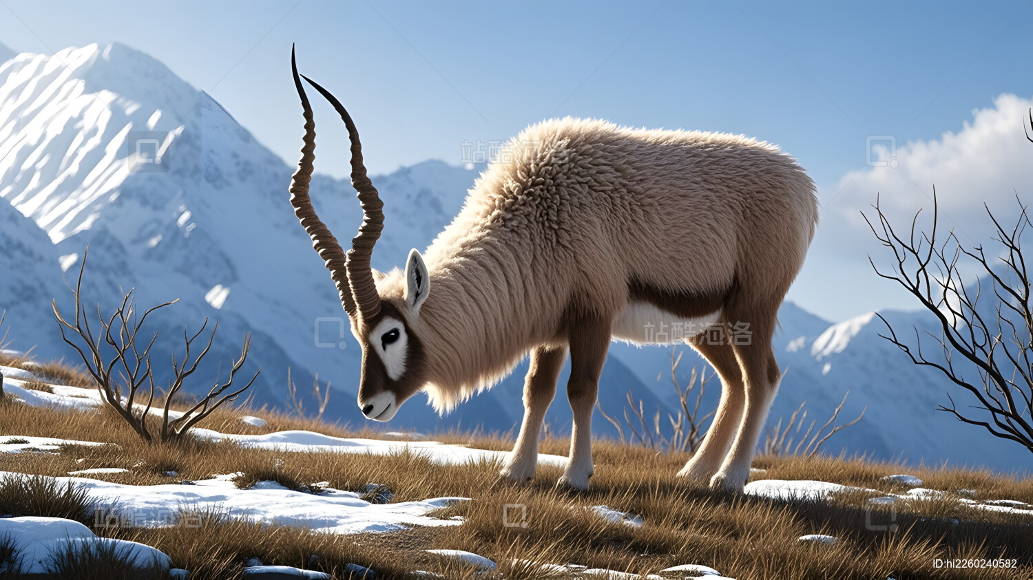 羚羊在山地间低头觅食显灵动