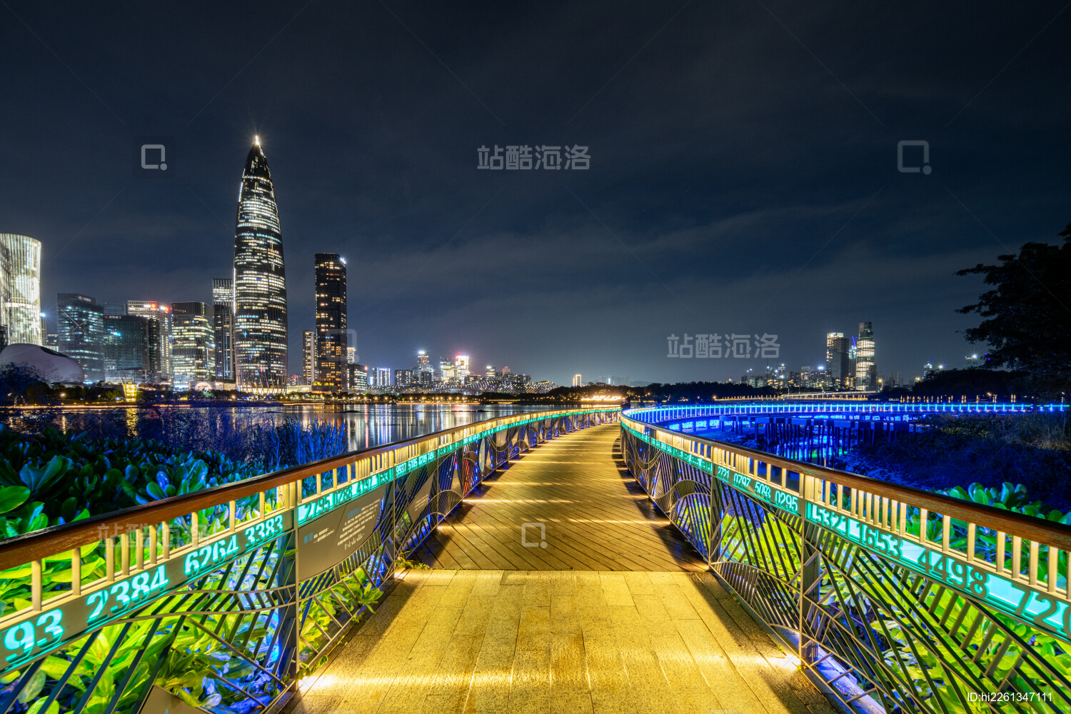 深圳湾人才公园城市夜景